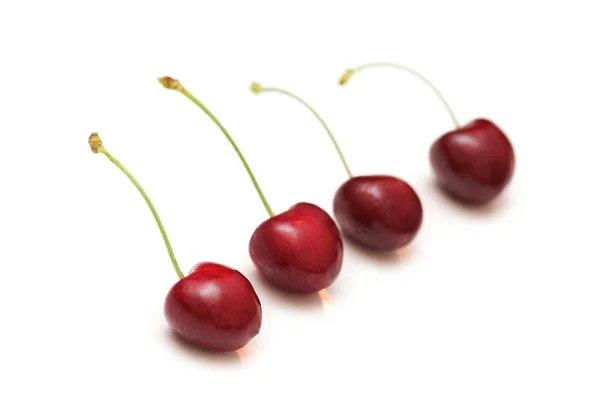 Row of cherries isolated — Stock Photo, Image