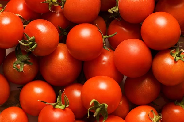 Czerwone pomidory - — Zdjęcie stockowe