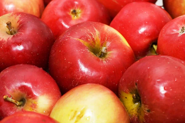 Manzanas rojas dispuestas en la bandeja — Foto de Stock