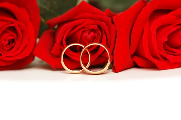 Two wedding rings and red roses — Stock Photo, Image
