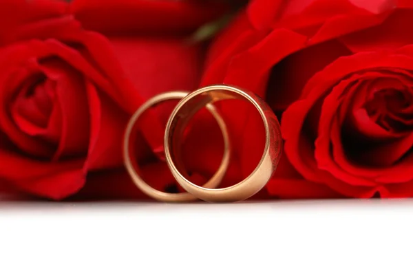 Rosas rojas y anillos aislados Imagen de archivo