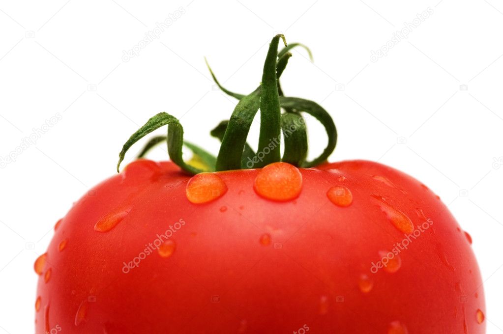 Red tomato with water drops