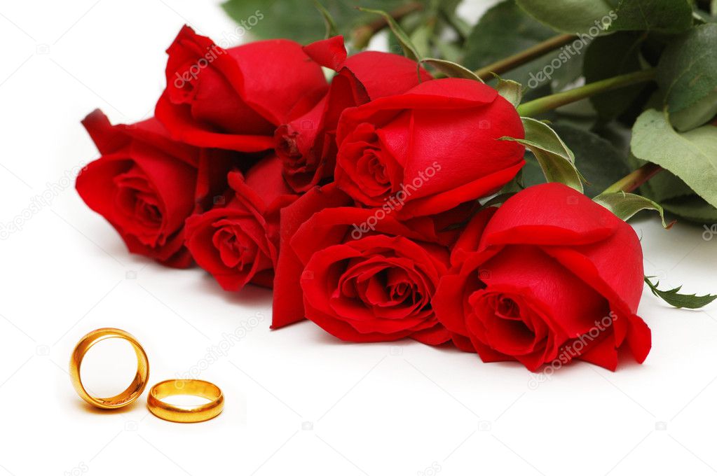 Red roses and rings isolated