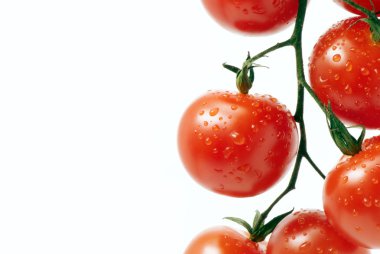 Cherry tomatoes clipart