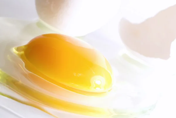 stock image Broken egg