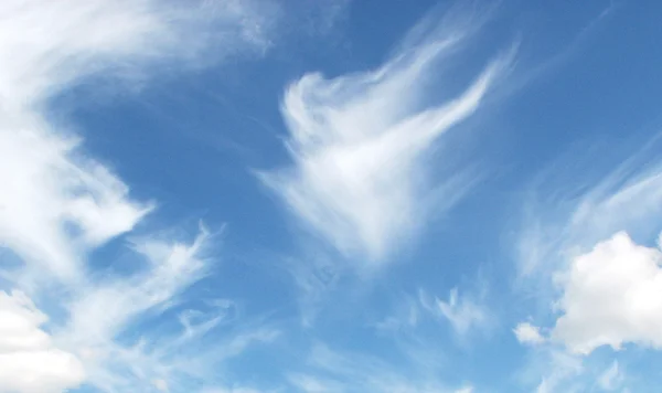 Stock image Sky with clouds