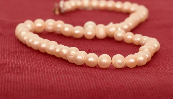 Collar de perlas — Foto de Stock