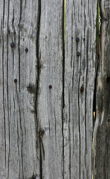 Eski kırık tahtası — Stok fotoğraf