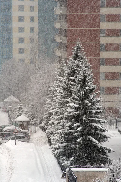 stock image Snowfall