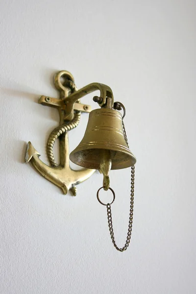 Sea bell — Stock Photo, Image