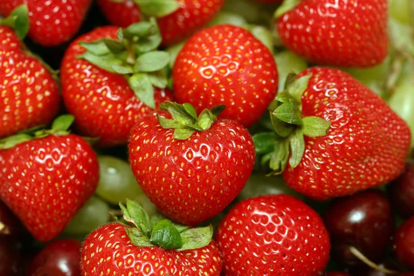 stock image Strawberry