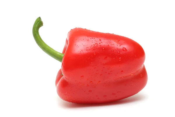 stock image Red pepper