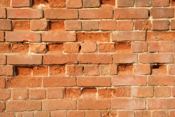 Bir tuğla duvar — Stok fotoğraf