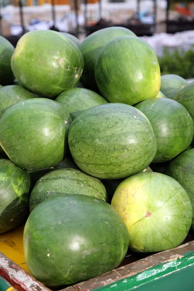 Water-melons — Stock fotografie