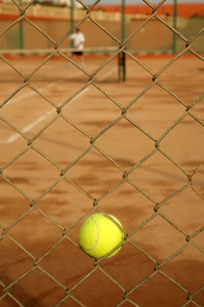 Tennis ball — Stock Photo, Image