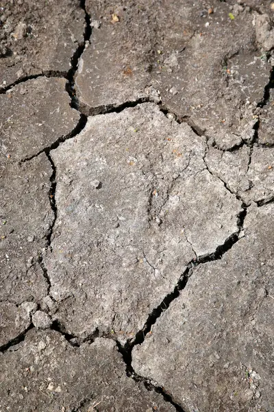 Oberfläche des Bodens — Stockfoto