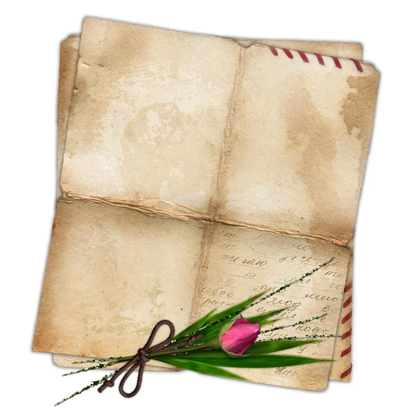 Старий папір з трояндою та бамбуковим листом — стокове фото
