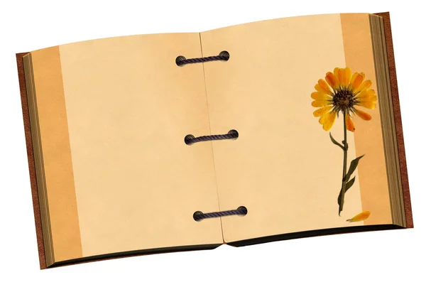 Open old notebook with flower on the whi — Stock Photo, Image