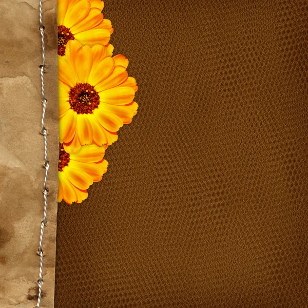 Tarjeta con flores y borde para el diseño — Foto de Stock