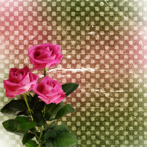 Grunge 背景与设计玫瑰 — 图库照片