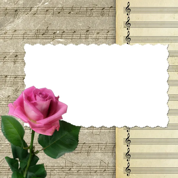 Musical background with pink rose — Stock Photo, Image