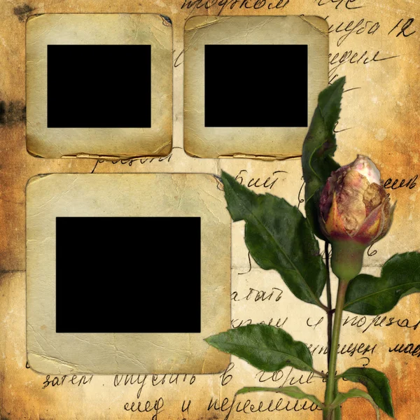 Old slides for photo with old rose — Stock Photo, Image