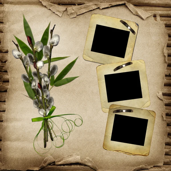 Old slides for photo with willow bouquet — Stock Photo, Image