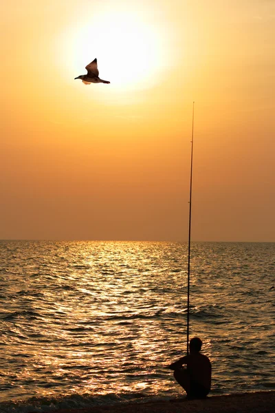 Balıkçı - Stok İmaj