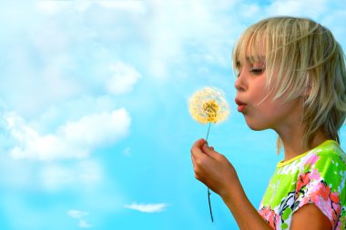 Dandelion clipart