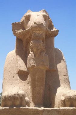 Egypt ram clipart