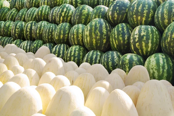 Meloner — Stockfoto