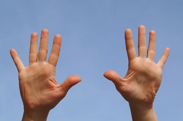 Duas palmas abertas — Fotografia de Stock