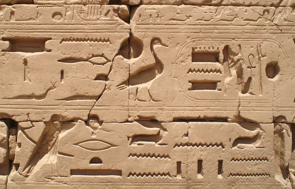 Египет знак 1 — стоковое фото