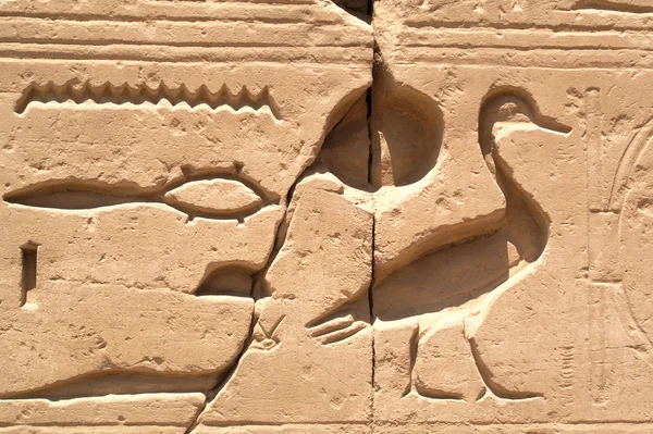 Египет знак 3 — стоковое фото