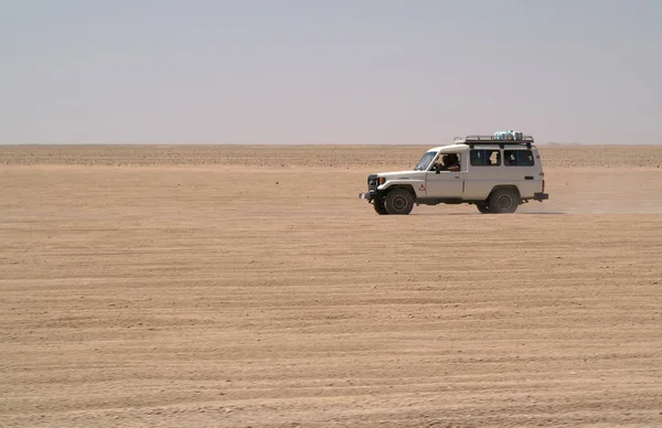 Jeeps in der Wüste — Stockfoto