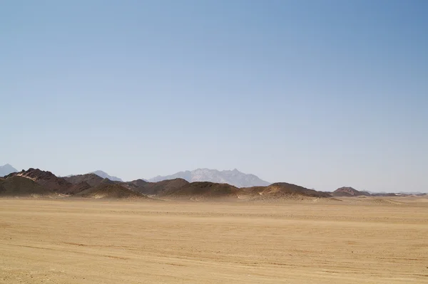 砂漠の 10 — ストック写真