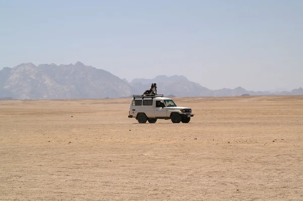 A sivatagi jeep — Stock Fotó