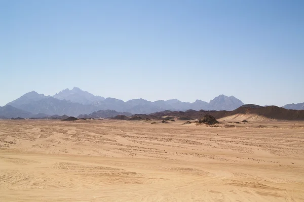 砂漠の 7 — ストック写真