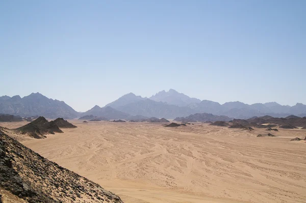 5 사막 — 스톡 사진