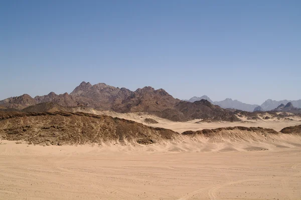 4 사막 — 스톡 사진