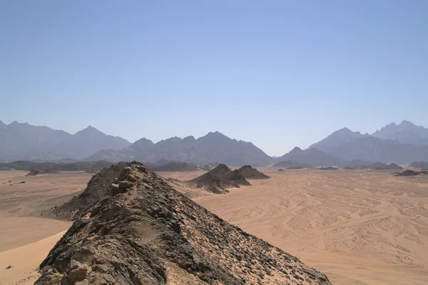 Desert 3 — Stockfoto