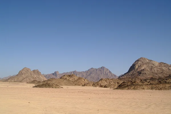 Sivatagi 1 — Stock Fotó