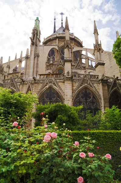 Notre Dame. — Fotografia de Stock