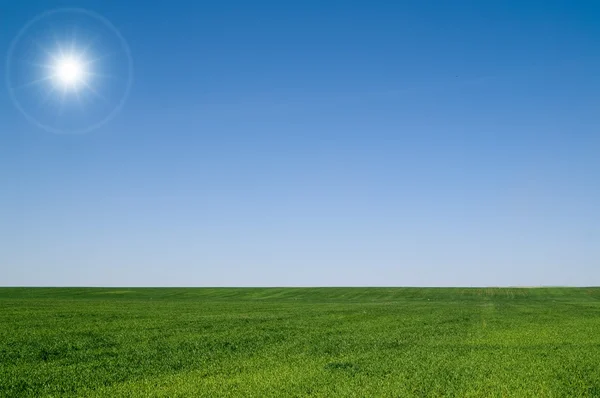 stock image Landscape