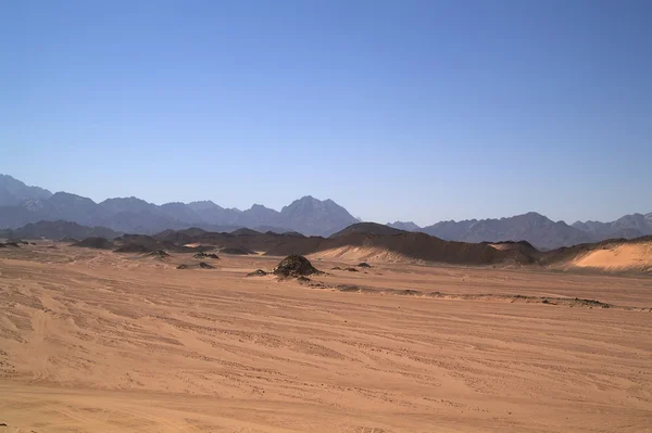 砂漠の 6 — ストック写真