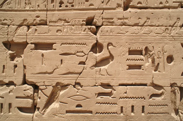 Egyiptom jel 1 — Stock Fotó