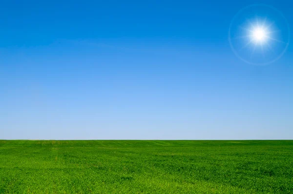 stock image Landscape