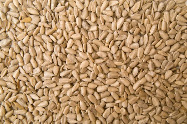 stock image Sunflower seeds