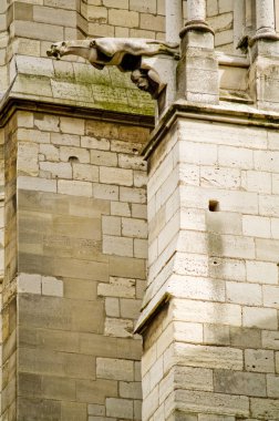 Notre dame de Paris