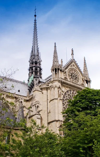 Notre dame de Paris